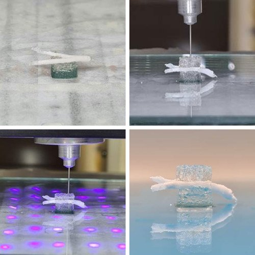 Printing of patient-specific coronary flap for implantation using rhCollagen-based BioInk. Image from Advanced Materials, 2021, DOI: (10.1002/adma.202102661)