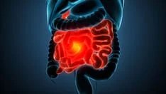 Image Source : Public Domain