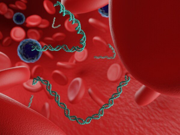 Image 1. Illustration of cell-free DNA in the blood stream (Shutterstock)