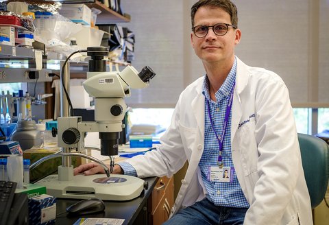 Dr. Philippe Marambaud led the research published in Nature Cardiovascular Research. (Credit: Feinstein Institutes)